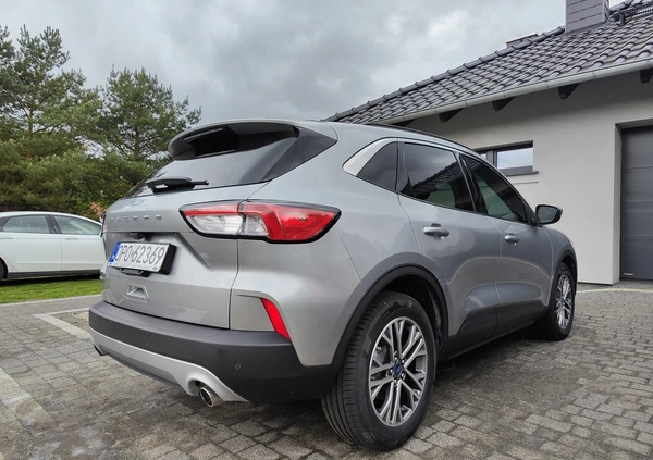 Ford Kuga cena 104999 przebieg: 23000, rok produkcji 2022 z Chełmno małe 529